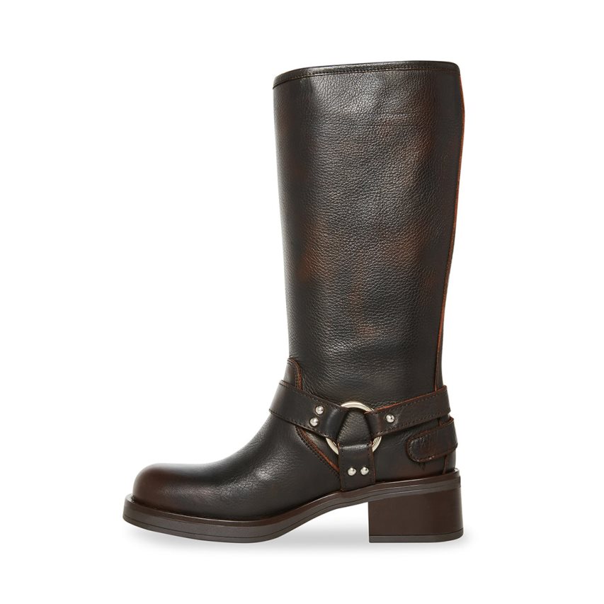 Dark Brown Steve Madden Axelle Leather Women's High Boots | PH 8352WSI